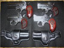 Bond Arms Email Picture.jpg