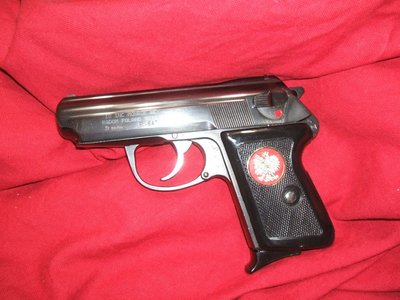 Polish Eagle Grip 2.JPG