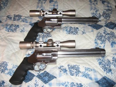 S&W 460 and 500 IMG_2739.JPG